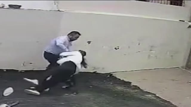 Perro pitbull ataca a una pareja frente a un portón en Patiala, India